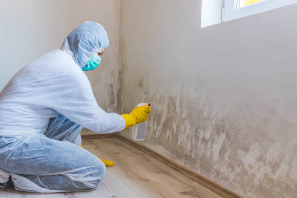 Mold Remediation specialist working in Worcester